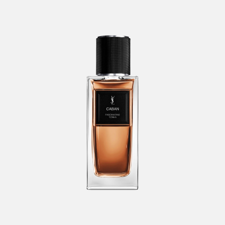 YSL Caban